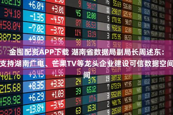 金囤配资APP下载 湖南省数据局副局长周述东：支持湖南广电、芒果TV等龙头企业建设可信数据空间