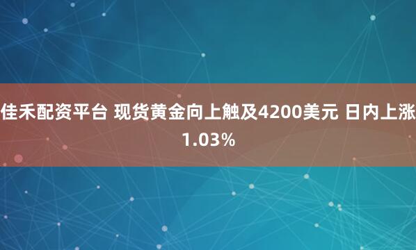 佳禾配资平台 现货黄金向上触及4200美元 日内上涨1.03%