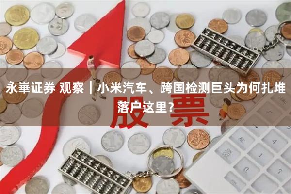 永崋证券 观察｜小米汽车、跨国检测巨头为何扎堆落户这里？